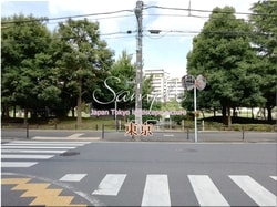 Токио Сугинами-город 25 ■ Последние 23 палаты Токио в 2021 году 1,000P